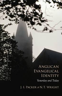 Book cover for Anglican Evangelical Identity