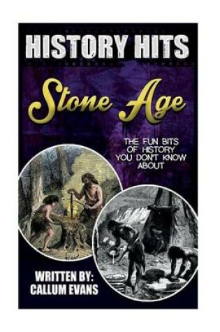 Cover of The Fun Bits of History You Don't Know about Stone Age