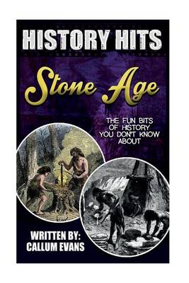 Book cover for The Fun Bits of History You Don't Know about Stone Age