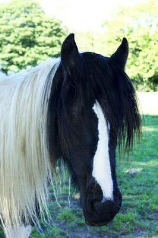 Cover of Lovely Piebald Black & White Horse Portrait Journal