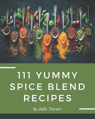 Book cover for 111 Yummy Spice Blend Recipes