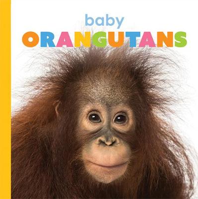 Book cover for Baby Orangutans