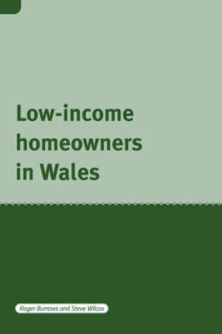 Cover of Low Income Home Owners in Wales