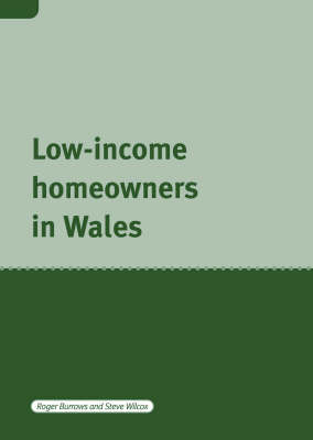 Book cover for Low Income Home Owners in Wales