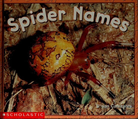 Book cover for Spider Names