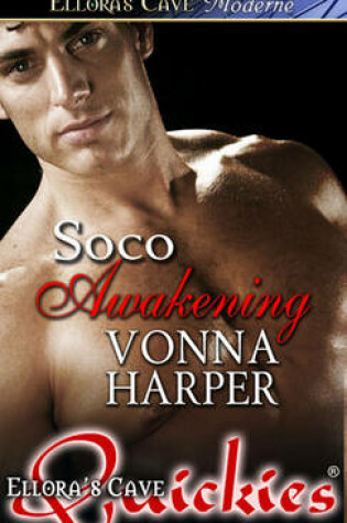 Cover of Soco Awakening