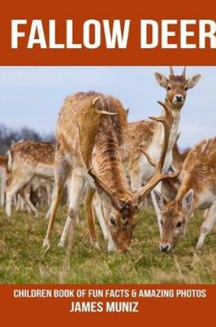 Cover of Fallow Deer