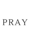 Book cover for Pray