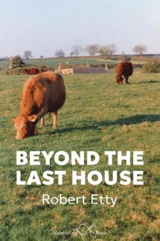 Cover of Beyond the Last House
