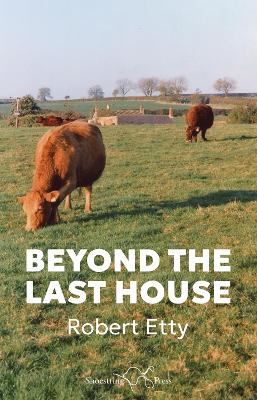 Book cover for Beyond the Last House