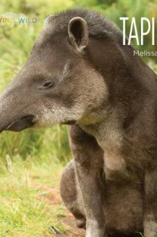 Cover of Tapirs