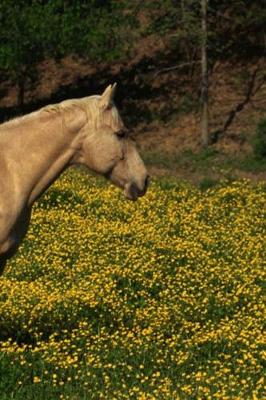 Book cover for Journal Palomino Yellow Flowers Equine Horse