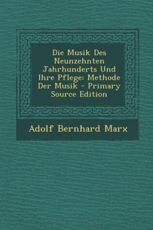 Cover of Die Musik Des Neunzehnten Jahrhunderts Und Ihre Pflege