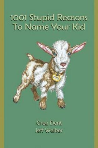 Cover of 1001 Stupid Reasons to Name Your Kid