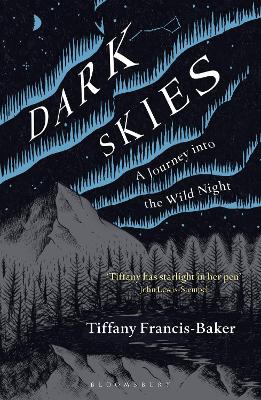 Book cover for Dark Skies