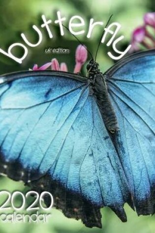 Cover of Butterfly 2020 Calendar (UK Edition)
