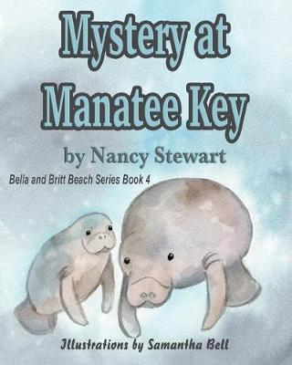 Book cover for Mystery at Manatee Key