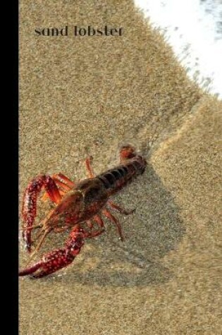 Cover of sand lobster