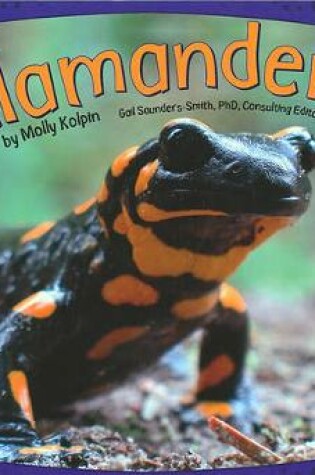 Cover of Salamanders