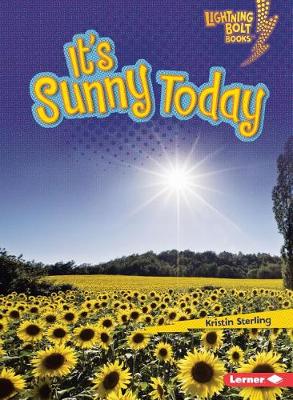 Book cover for Its Sunny Today