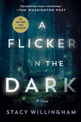 Cover of A Flicker in the Dark