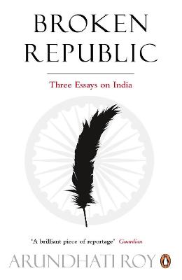 Book cover for Broken Republic