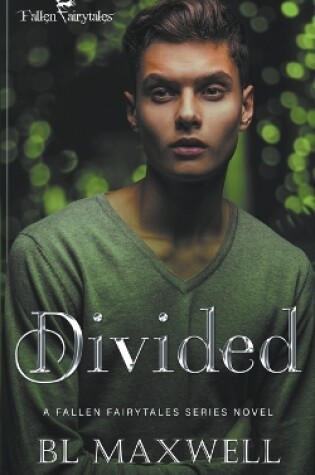 Cover of Divided