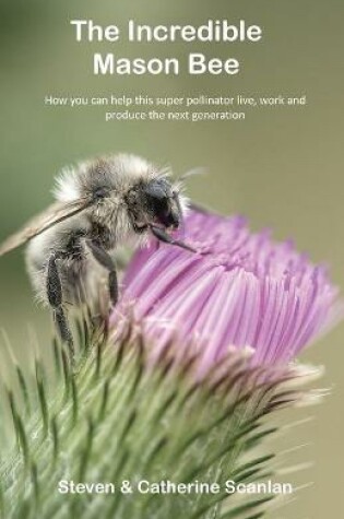 Cover of The Mason Bee Book