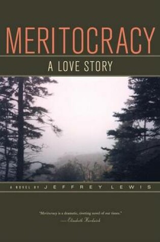 Cover of Meritocracy