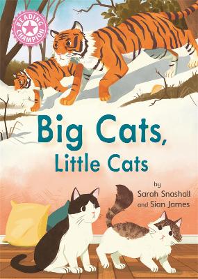 Book cover for Reading Champion: Big Cats, Little Cats