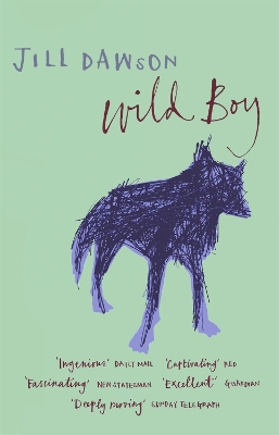 Book cover for Wild Boy