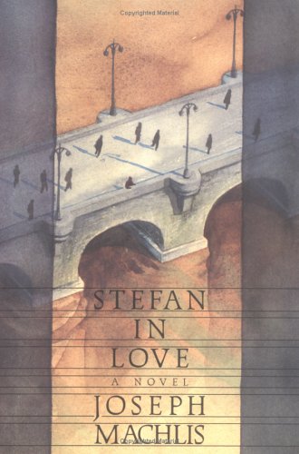 Book cover for Stefan in Love
