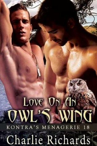 Cover of Love on an Owl's Wing
