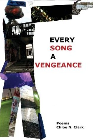 Cover of Every Song a Vengeance