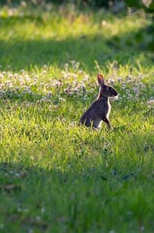 Cover of Wild Rabbit in the Clover Journal