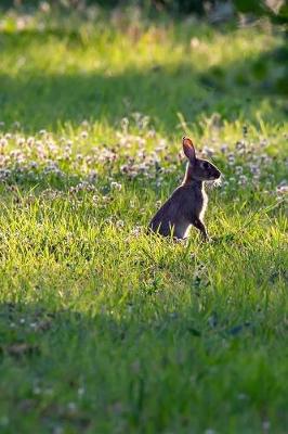 Book cover for Wild Rabbit in the Clover Journal