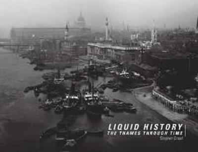 Book cover for Liquid History