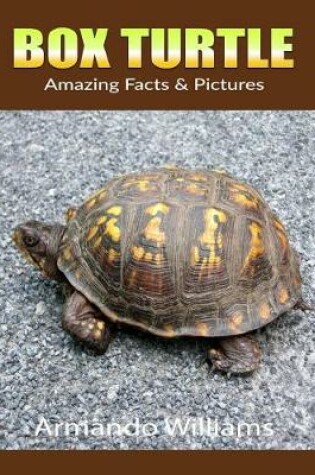 Cover of Box Turtle