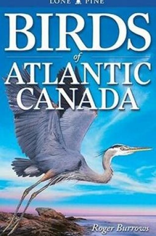 Cover of Birds of Atlantic Canada