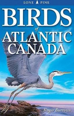 Book cover for Birds of Atlantic Canada