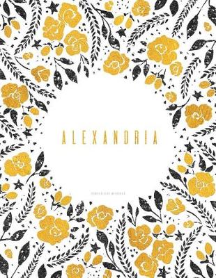 Book cover for Alexandria. Composition Notebook