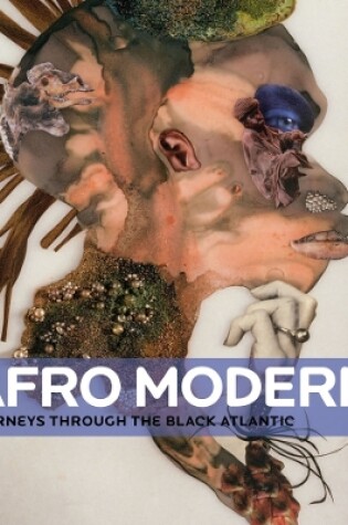 Cover of Afro-Modern