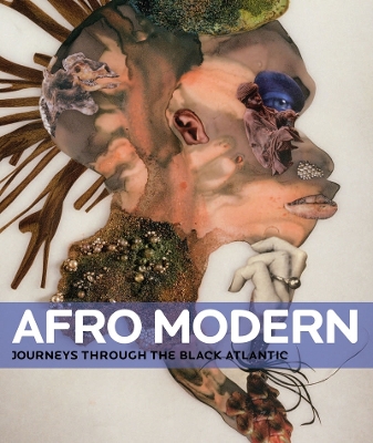 Book cover for Afro-Modern