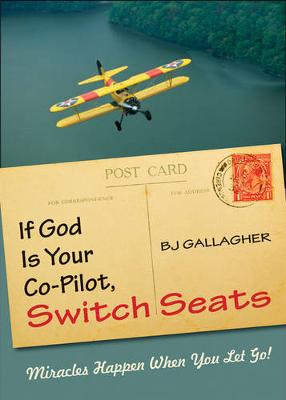 Book cover for If God is Your Co-Pilot, Switch Seats