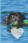 Book cover for Cute Dog Swimming in Lake Arrowhead Wide-ruled School Composition Lined Notebook