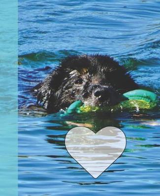 Cover of Cute Dog Swimming in Lake Arrowhead Wide-ruled School Composition Lined Notebook