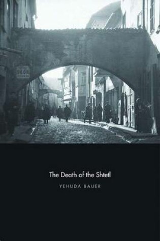 Cover of The Death of the Shtetl