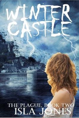 Book cover for Winter Castle