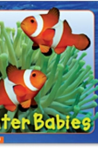 Cover of Water Babies