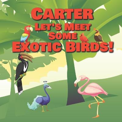 Book cover for Carter Let's Meet Some Exotic Birds!